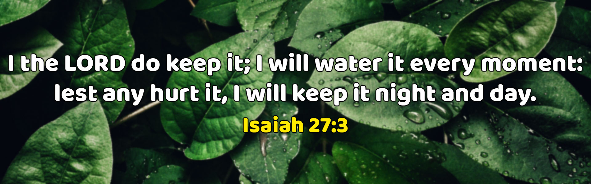 I the LORD do keep it; I will water it every moment: lest any hurt it, I will keep it night and day. Isaiah-27-3 | Zion Prayer House Poranki
